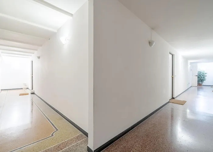 Coral Flat * 제노바